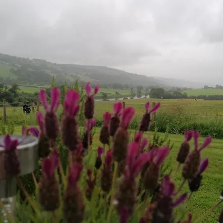 Cable Island 3* Conna