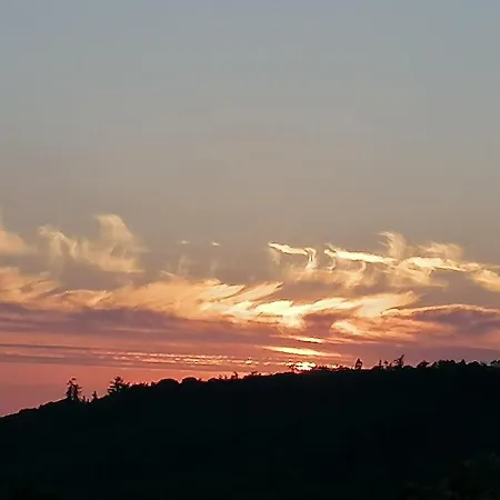 Cable Island فندق مبيت وإفطار 3*