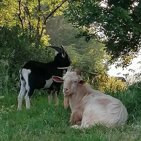 Cable Island فندق مبيت وإفطار