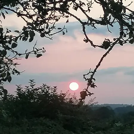 Cable Island Bed & Breakfast 3*