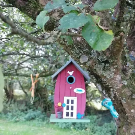 Cable Island Conna
