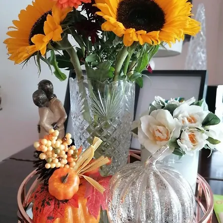 فندق مبيت وإفطار Cable Island 3*