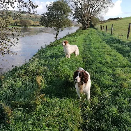 Frühstückspension Cable Island Conna