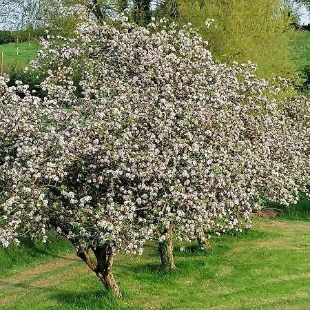 Cable Island 3* Conna