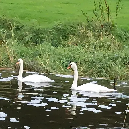 Bed & Breakfast Cable Island Conna