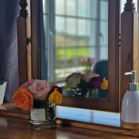 فندق مبيت وإفطار Cable Island Conna