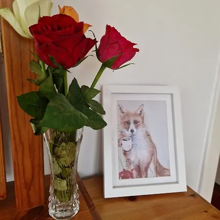 Cable Island 3* Conna