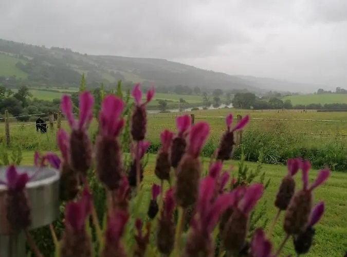 Cable Island 3* Conna