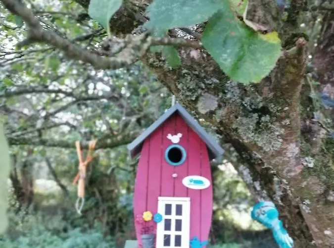 Cable Island Conna