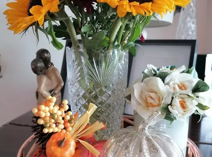 Panzió Cable Island 3*