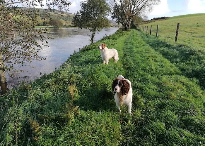Bed & Breakfast Cable Island Conna