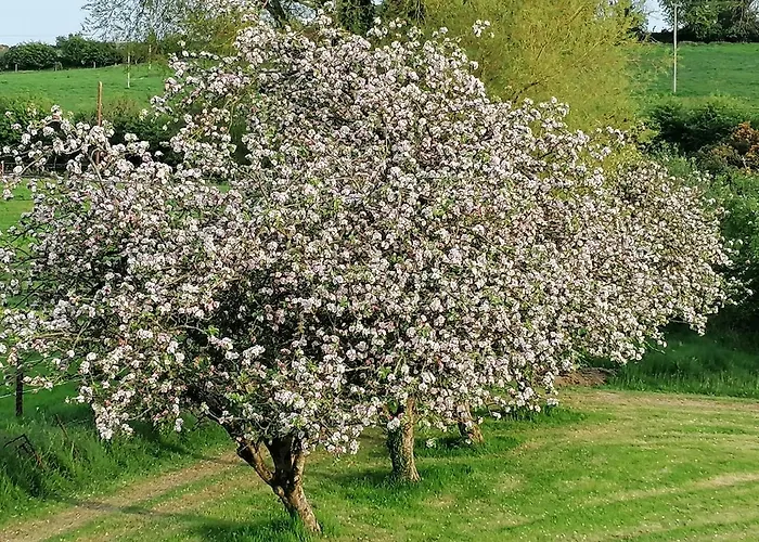 Cable Island 3* Conna