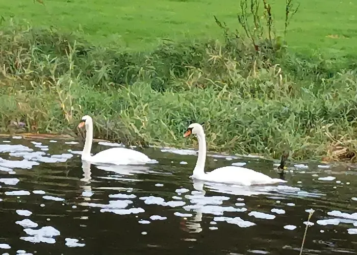 Bed & Breakfast Cable Island Conna