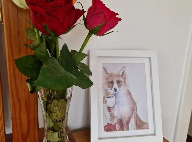 Cable Island 3* Conna