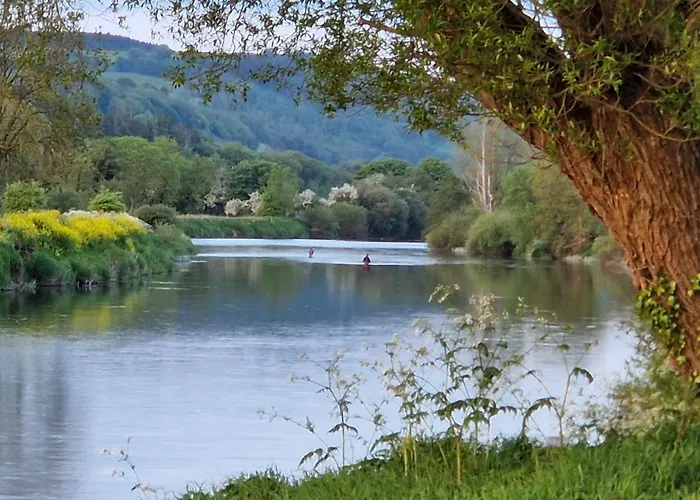 Cable Island Panzió 3*